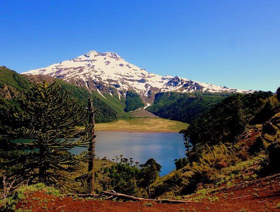 Fundo Laguna Blanca