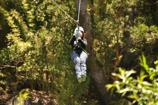 Bosque Aventura