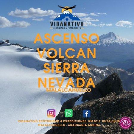 VidaNativo Ecoturismo & Expediciones